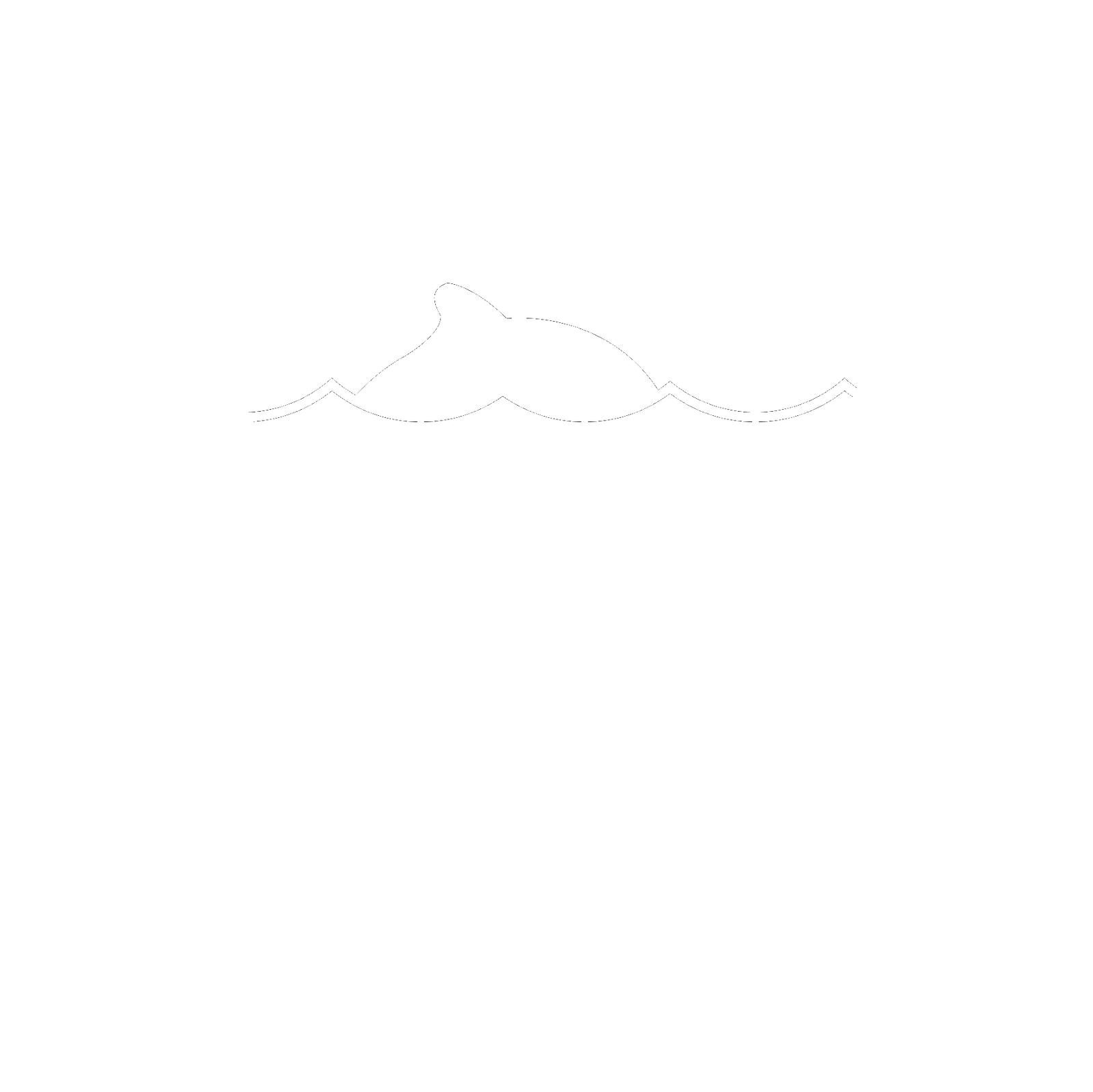Aysenmiraelmarlogo_en blanco